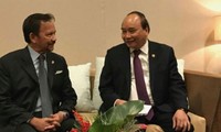 Vietnam y Brunei fortalecen relaciones