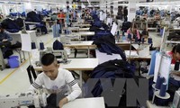 Prepara Vietnam normativa para evaluar el desarrollo de las empresas nacionales