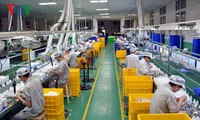 Desarrollo del sector privado, una necesidad urgente de la economía vietnamita