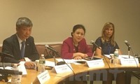 Vietnam reitera su compromiso con el programa de la ONU de desarrollo sostenible