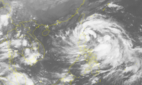 Toman medidas activas para enfrentarse a un nuevo huracán en Vietnam