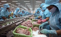 Señales positivas de exportación de productos agrosilvícolas y acuícolas de vietnam en 2018 