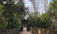 Pagoda de Bo Da, Patrimonio Nacional Especial