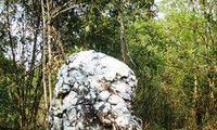 El culto a la deidad de la Piedra Sagrada de los Ha Nhi 