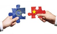 Unión Europea aplaude plan de Vietnam de participar en los convenios internacionales de trabajo