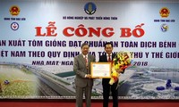 Productor de camarones de Vietnam cumple normas internacionales