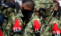 ELN empieza cese al fuego unilateral por temporada navideña