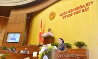 Asamblea Nacional de Vietnam concluye séptimo período de sesiones