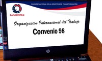 Organización Internacional del Trabajo elogia la aprobación de Vietnam del Convenio 98