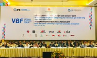 Celebran Foro Empresarial de Vietnam a mediano plazo