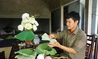 Le Son Hai, joven emprendedor en la producción del té orgánico 