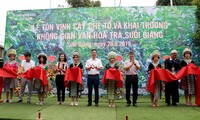 Semana cultural y turística de Muong Lo enaltece la planta de té tradicional