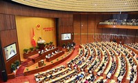 Aprecian la preparación de la agenda del octavo periodo de sesiones del Parlamento vietnamita