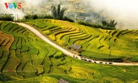 Exaltan Mu Cang Chai como uno de los mejores destinos para turistas internacionales