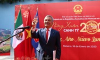 Vietnamitas en varios países celebran la próxima fiesta del Año Nuevo Lunar de la Rata