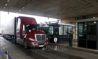 Exportaciones e importaciones tramitadas en puerta fronteriza de Lao Cai en el inicio del Año de la Rata