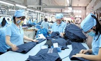 Tratan potencialidades de exportaciones vietnamitas a Estados Unidos