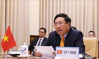 Vietnam reafirma su papel proactivo en el Consejo de Seguridad de la ONU