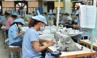 Publican la lista de empresas exportadoras prestigiosas de Vietnam en 2019