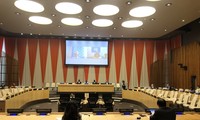 Consejo de Seguridad de la ONU debate sobre la situación de Yemen