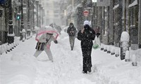 España decreta estado de emergencia de protección civil en Madrid