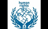 Vietnam decidido a ser miembro del Consejo de Derechos Humanos de la ONU