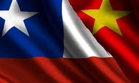 Las relaciones comerciales entre Vietnam y Chile en alza a pesar del covid-19