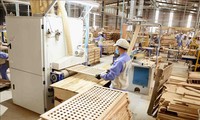 Crece más del 41% la exportación de madera y productos silvícolas de Vietnam en el primer trimestre