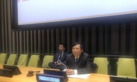 Vietnam apreciado por sus gestiones en el Consejo de Seguridad de la ONU