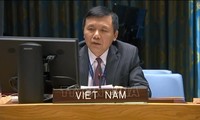 Vietnam respalda la propuesta de la ONU para la paz en Yemen