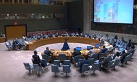 Vietnam participa en debate del Consejo de Seguridad de la ONU sobre Colombia