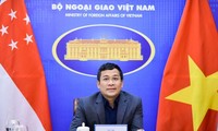 Vietnam y Singapur refuerzan la cooperación en la lucha contra el covid-19