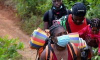 Cantidad de niños migrantes que atraviesan la selva de Darién hacia Estados Unidos alcanza récord histórico