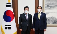 Corea del Sur es uno de los socios más importantes de Vietnam, afirma el canciller Bui Thanh Son