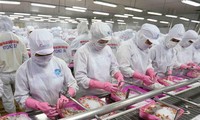 Exportaciones de productos acuáticos de Vietnam siguen en bonanza