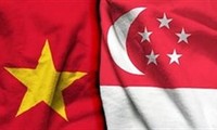 Nueva fuerza motriz para el desarrollo de las relaciones Vietnam-Singapur