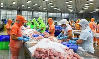 México entre los tres mayores importadores de pangasius vietnamita