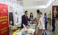 Productos y marcas vietnamitas dejan su huella feria y exposición en Singapur