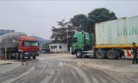 Lao Cai mantiene a flote actividades de importación y exportación en sus puertas fronterizas