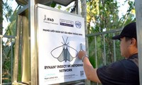 Sistema de monitoreo de insectos, exclusivo de Vietnam, se irrumpe en el mercado japonés