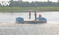 La industria del pangasius en el delta del Mekong apunta a una economía circular y reducción de emisiones