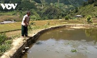 La prosperidad que trae la gran unidad a los pueblos montañosos de Yen Bai