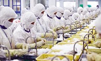 Exportaciones de bienes de Vietnam a Estados Unidos se recuperan