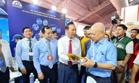 Exportación de camarones vietnamitas puede crecer un 15 % este año