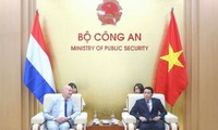 Vietnam y Países Bajos fomentan cooperación en la implementación de la Convención contra la Tortura