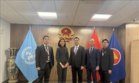 Vietnam valora acompañamiento de la ONU en proceso de desarrollo