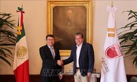 Vietnam busca oportunidades de cooperación con localidades mexicanas