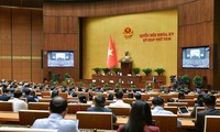 Parlamento vietnamita aborda la prevención de delitos y violaciones de leyes