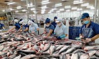 Exportaciones de productos del mar de Vietnam pueden alcanzar 10 mil millones de dólares en 2024