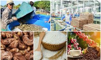 Estados Unidos, un mercado importador líder de productos agro-silvícolas y acuáticos principales de Vietnam